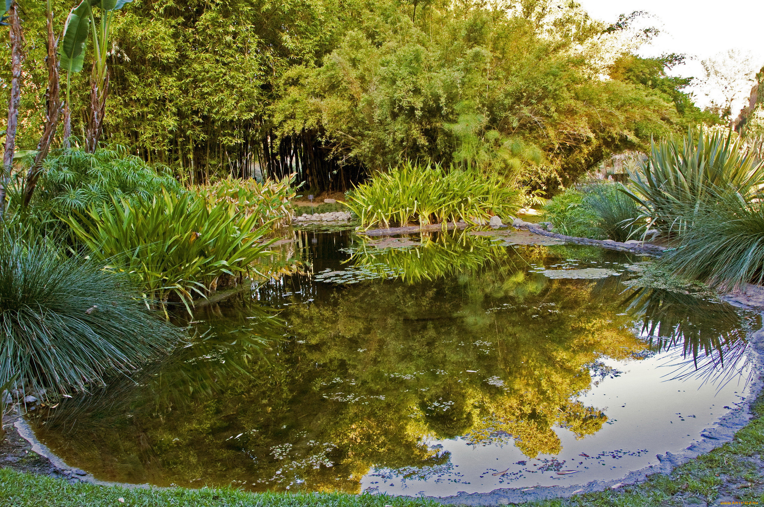 Озером называется природный водоем который. Сад Трокадеро пруд. Хантингтон Ботанический сад. Ботанический сад водоем Воронеж. Ботанический сад Кирстенбош.